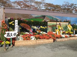 🌸 후나오카 관터(히토메 센본자쿠라) 이미지 8